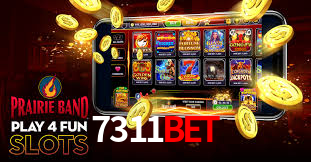 A Experiência Imersiva dos Cassinos Ao Vivo no 7311bet